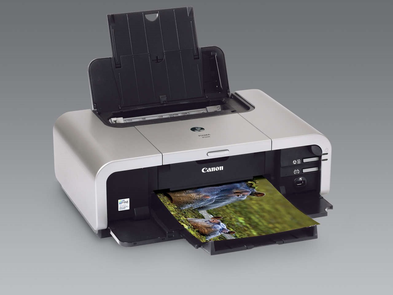 how much dpi is a canon mp490 printer